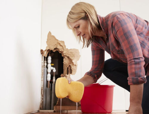 When Should I Call A Professional Plumber?