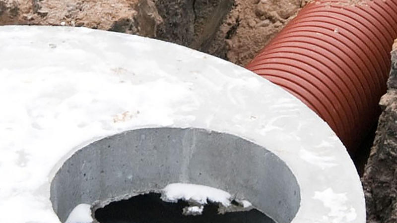 Commercial drain field plumbing services near Tampa Bay