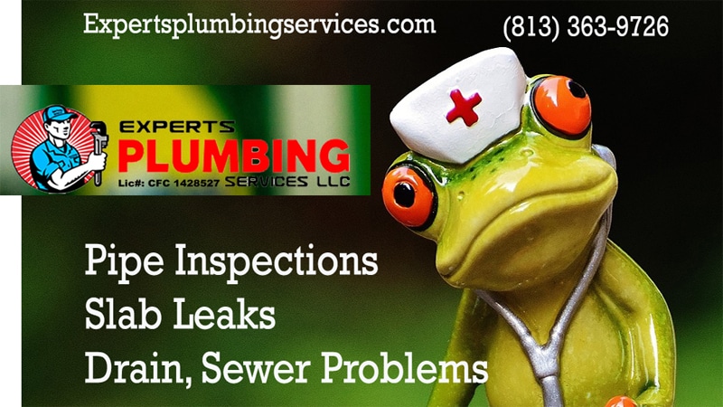 Tampa leak detection plumbers