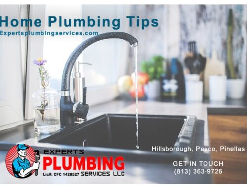 Tampa Plumber with 10 Home Plumbing Tips