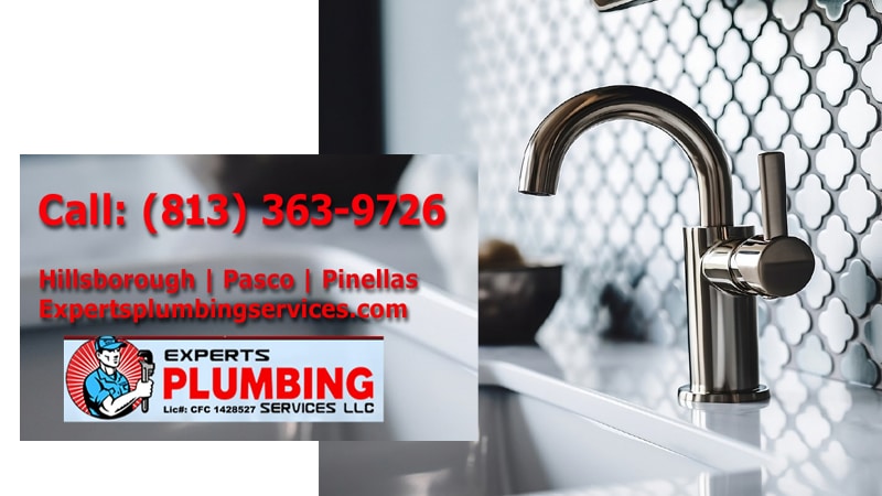 Tampa Plumber faucet recommendation, installation